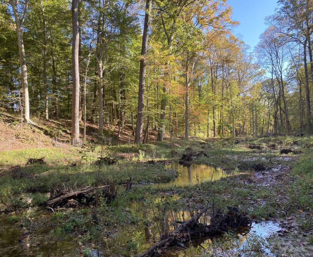 Rosaryill State Park Award