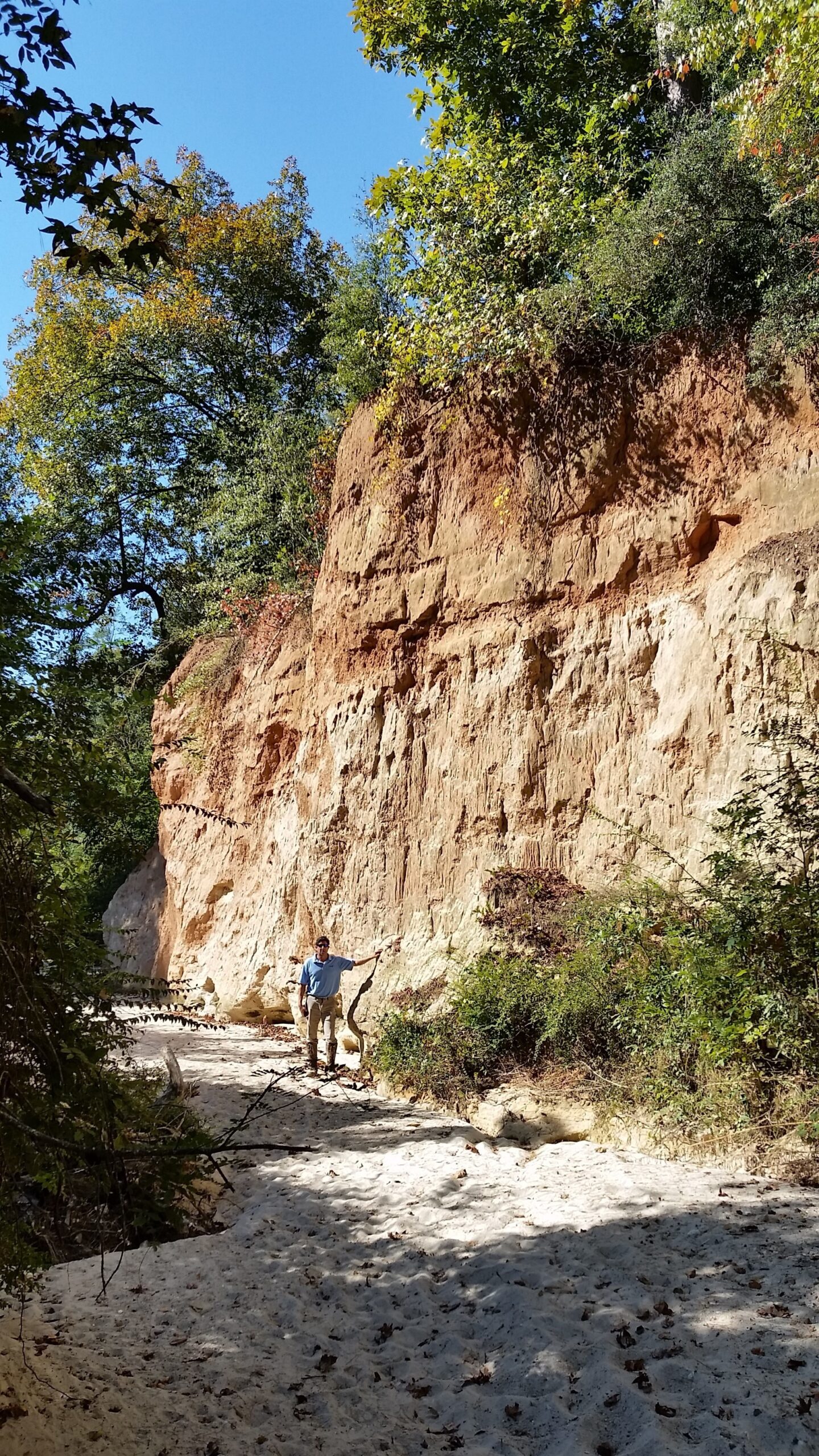 Hitchcock Woods