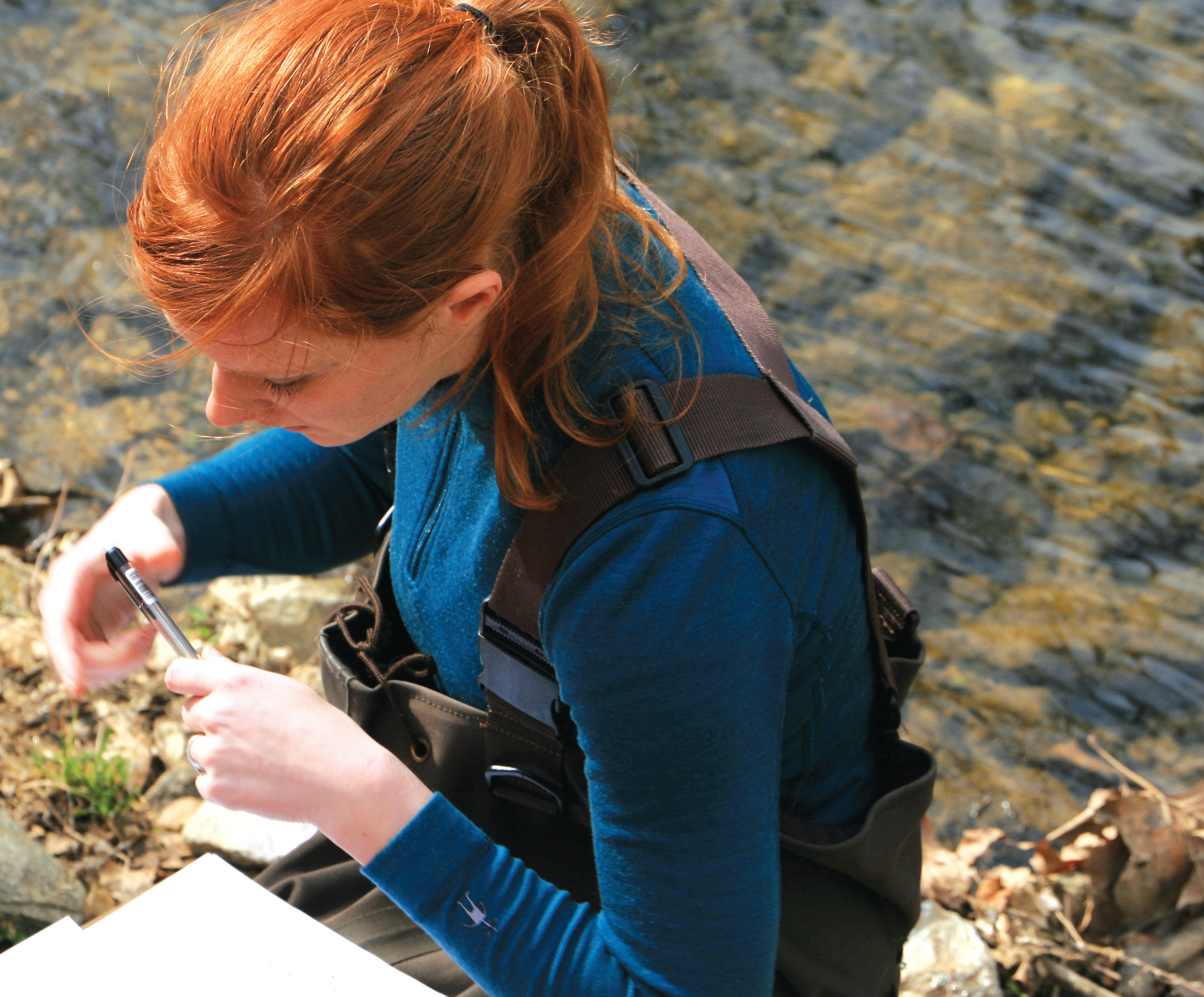 ecological studies