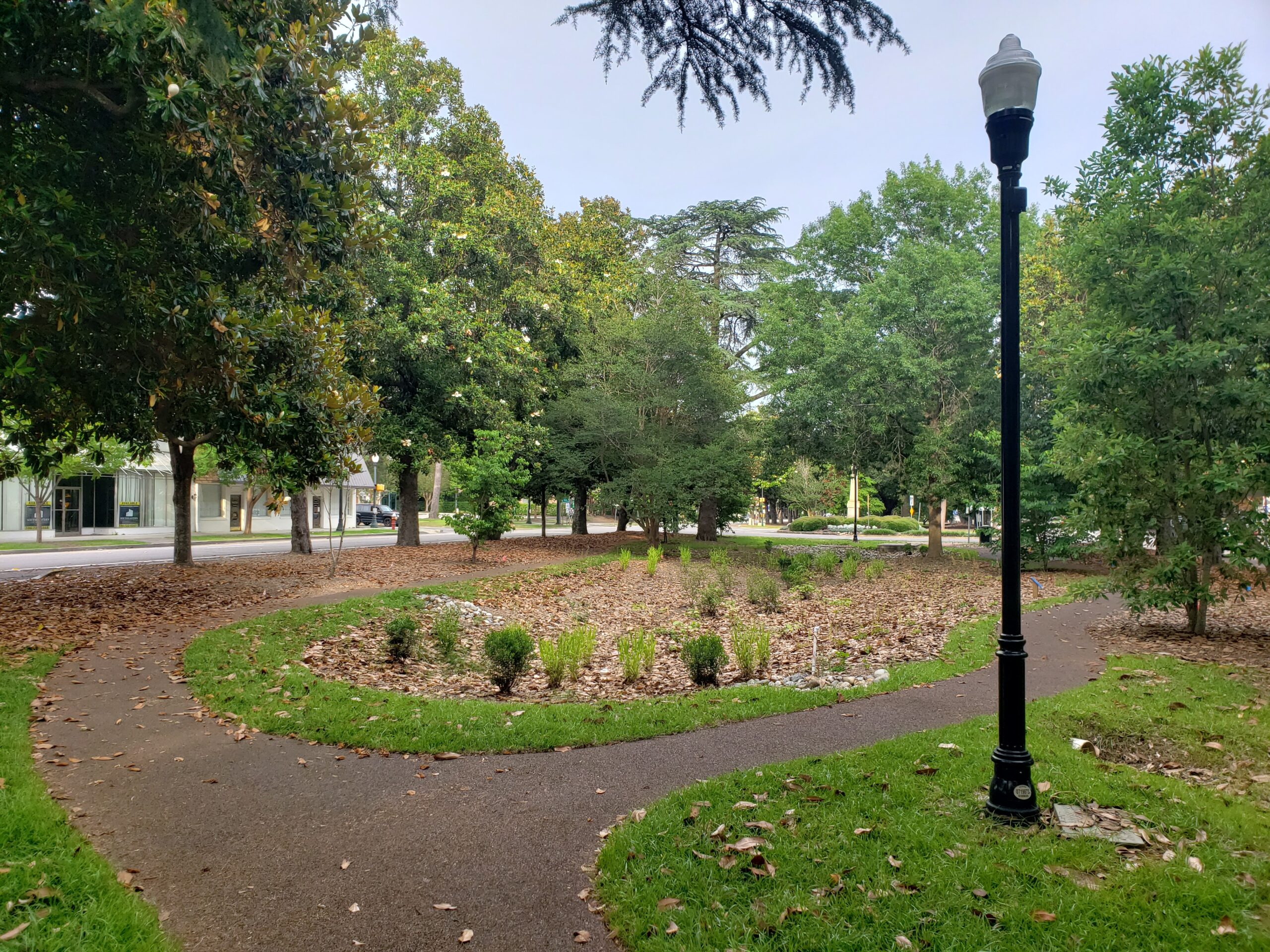 A retrofitted bioretention in downtown Aiken, SC.