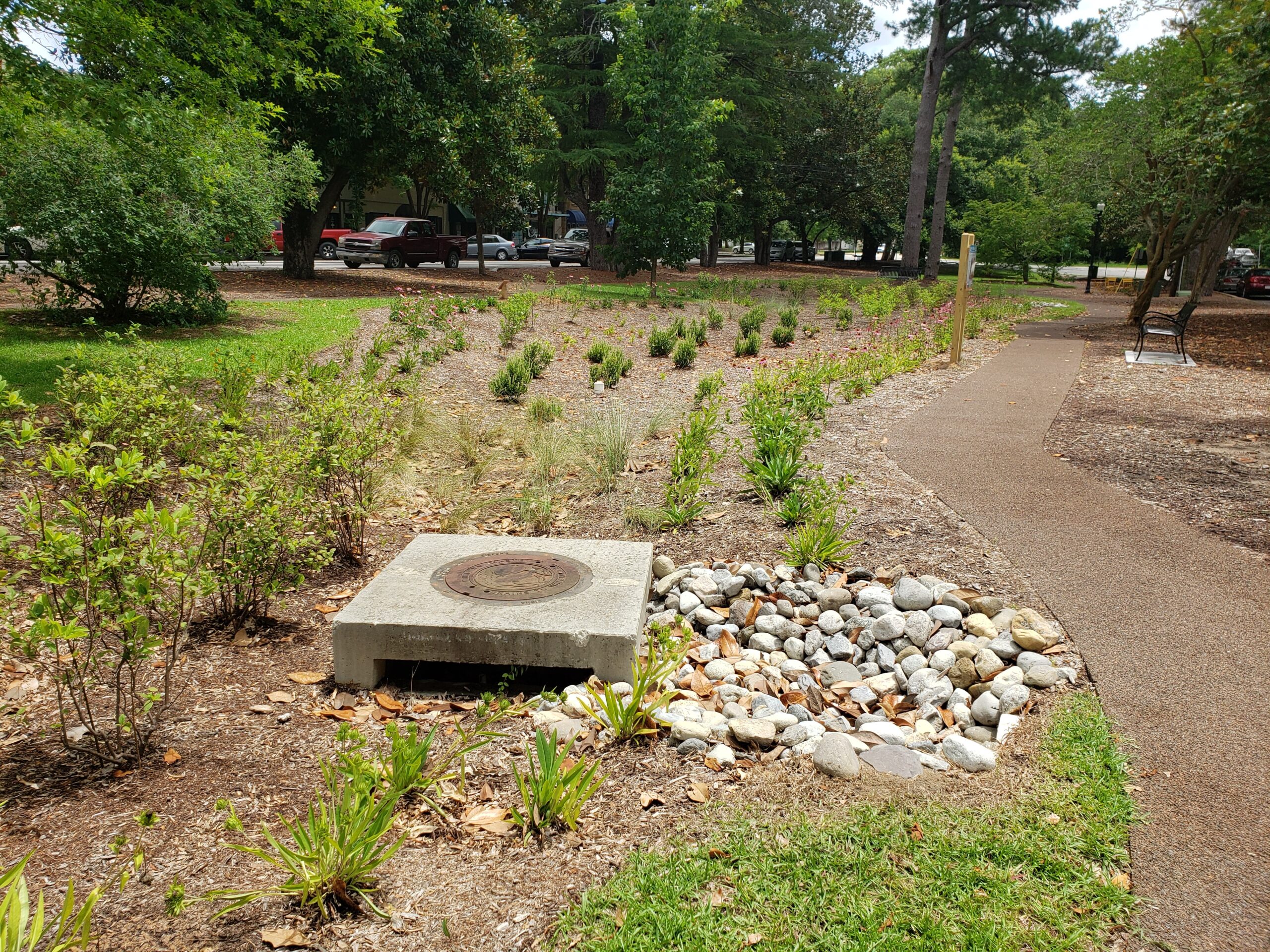 A retrofitted bioretention in downtown Aiken, SC.