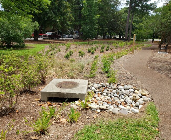 A retrofitted bioretention in downtown Aiken, SC.