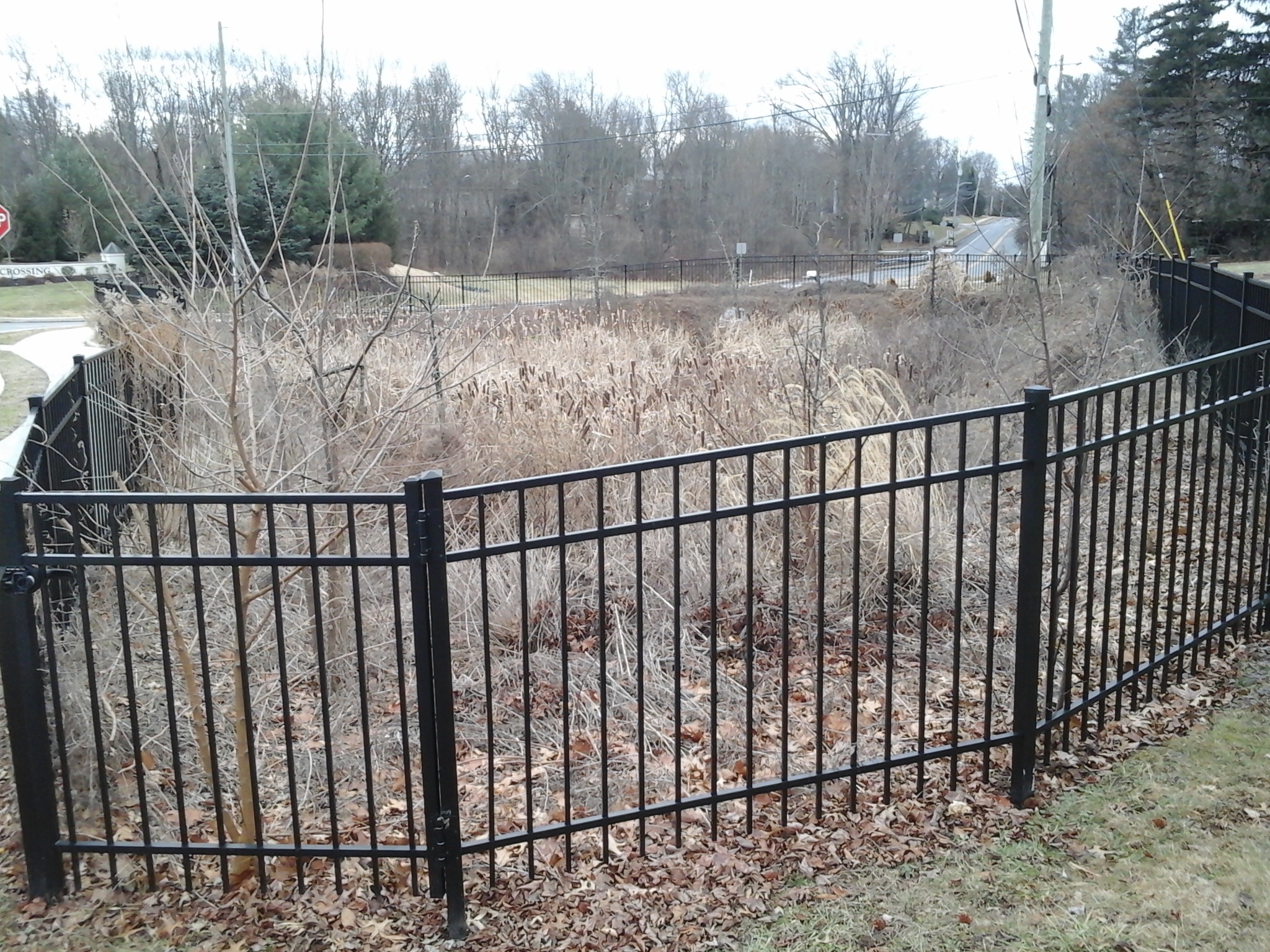The existing failed rain garden