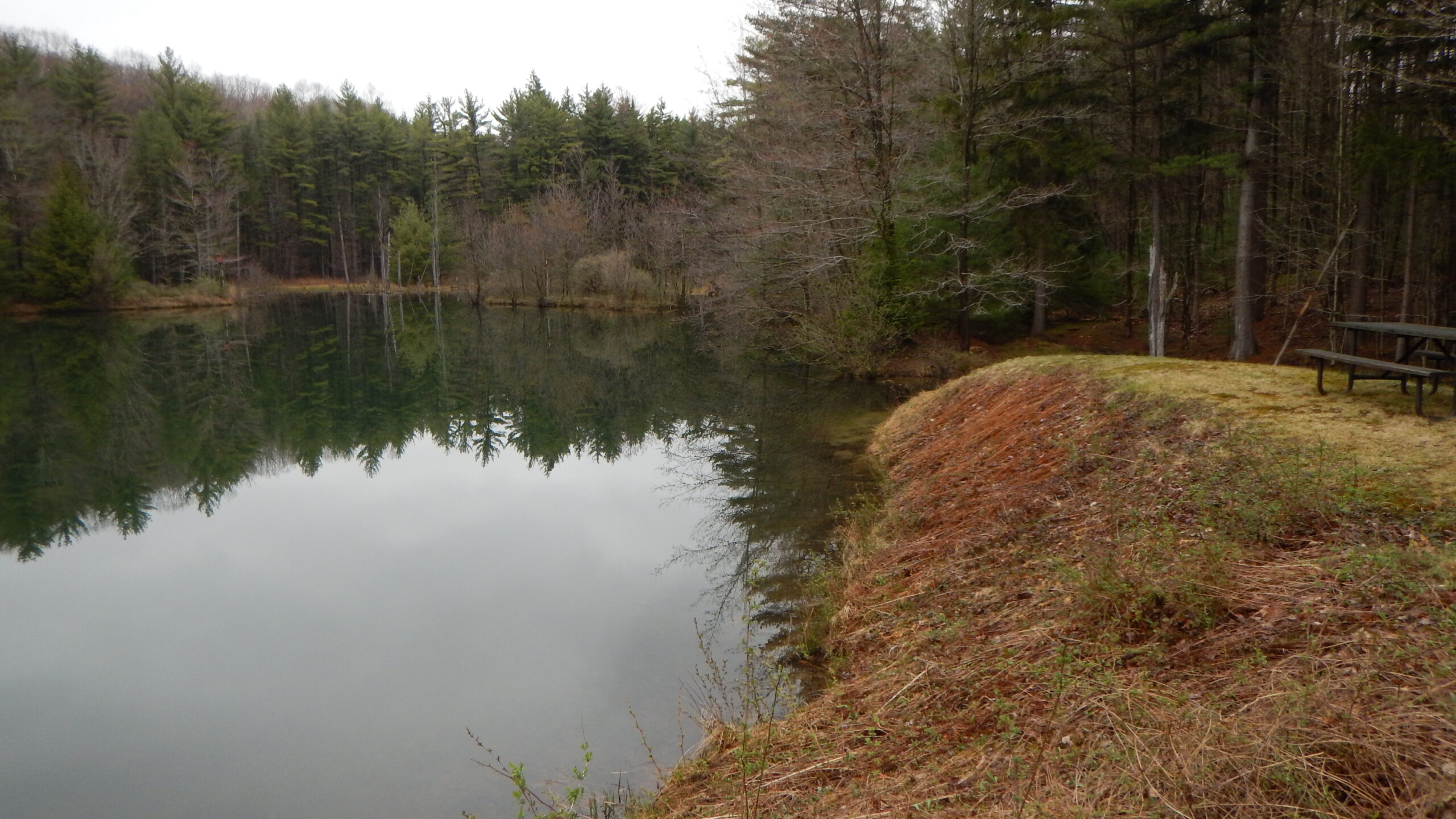 Pre-construction Fire Pond