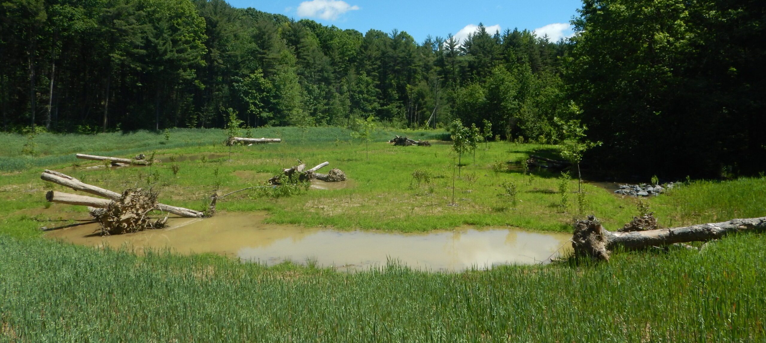 Post-construction wetland