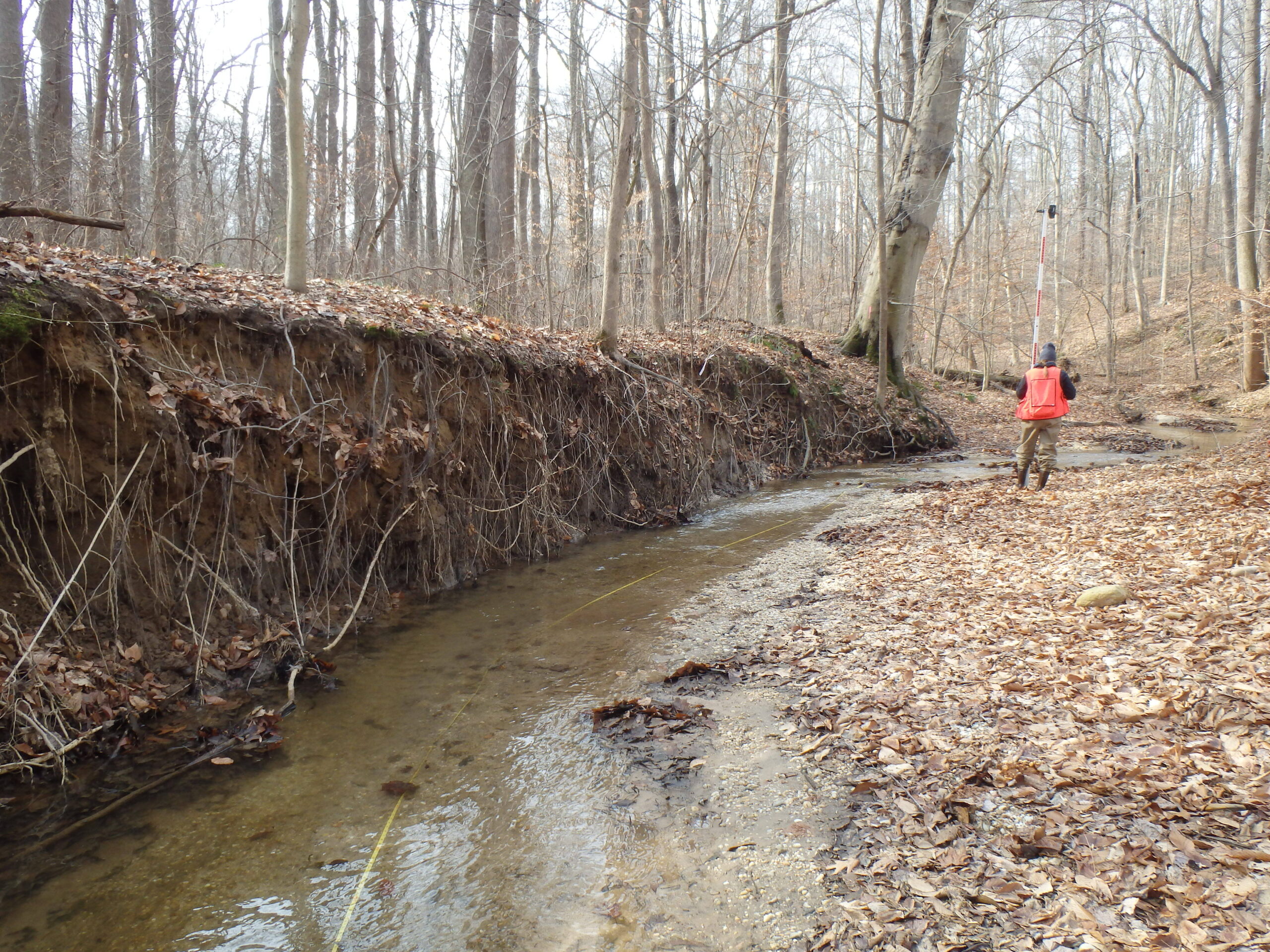 Eastern Tributary, pre-construction