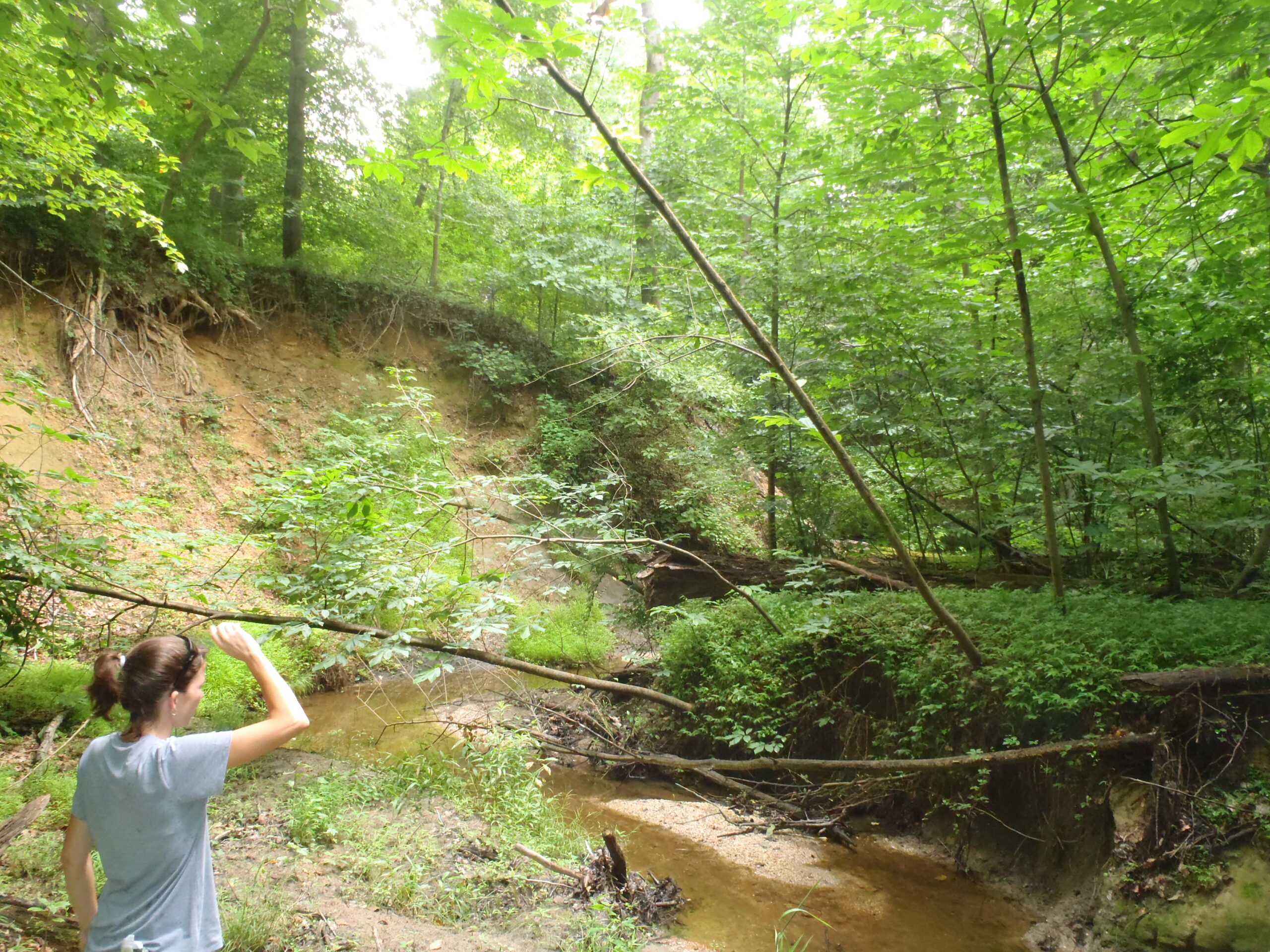 Western Tributary, pre-construction
