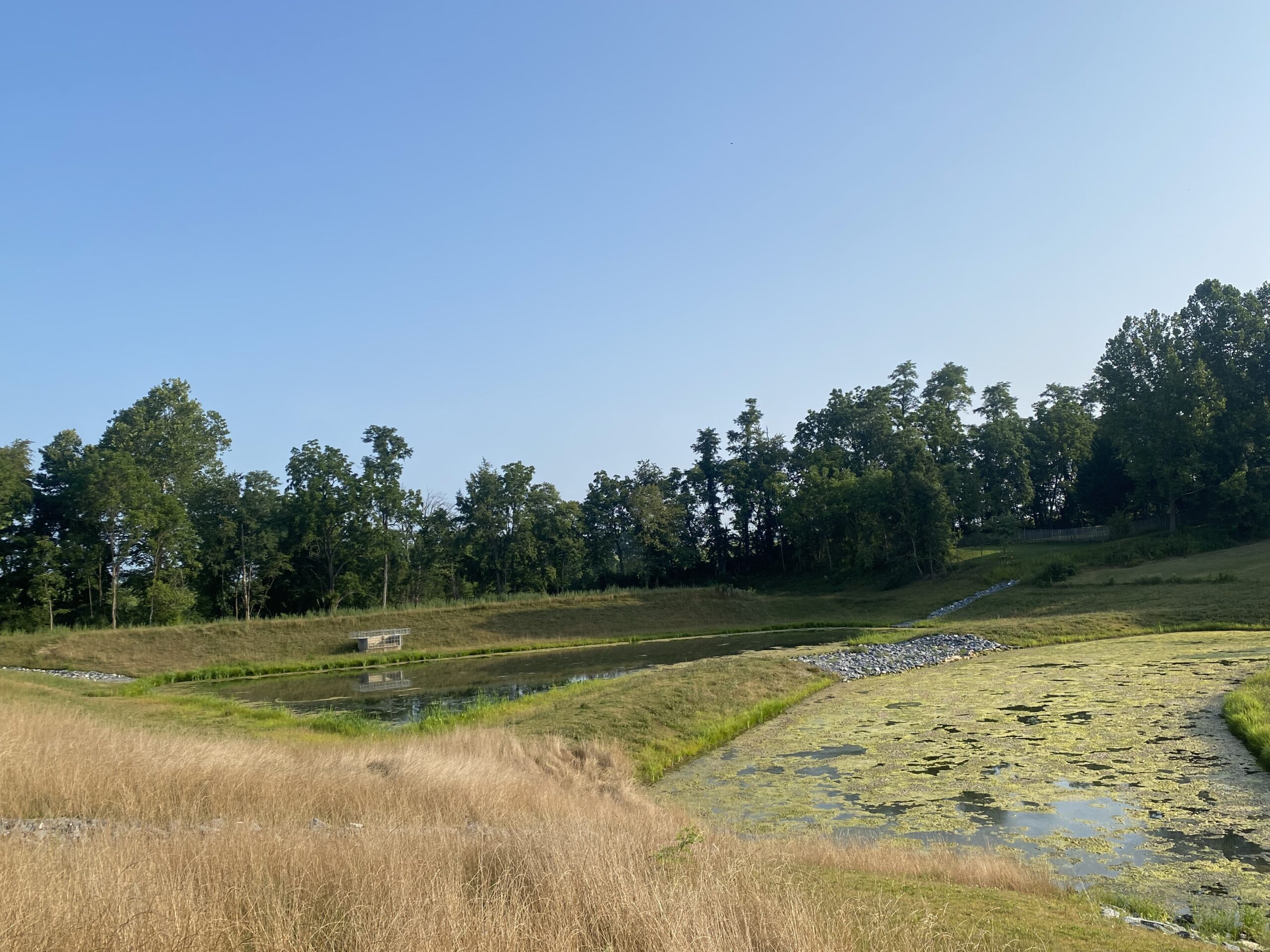 BMP 752 in the Cambridge Farms Community after construction showing the graded wet pools for water quality enhancement