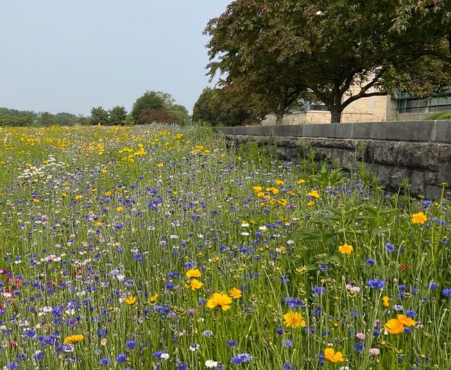 Central Administrative Building after
